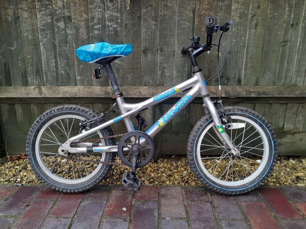 Dawes Blowfish Silver Refurbished Bicycle - 16 inch