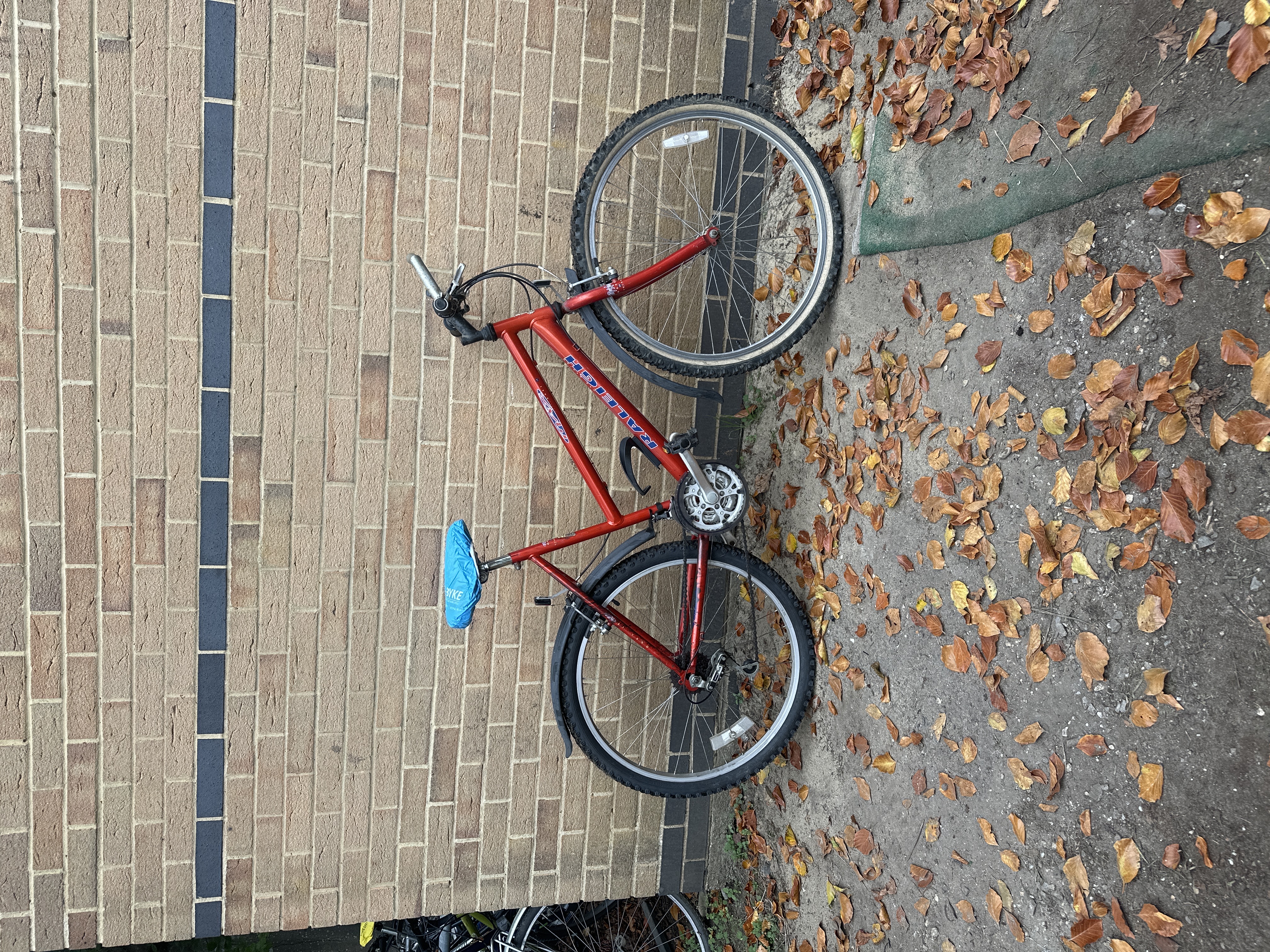 Raleigh Max - 26 inch