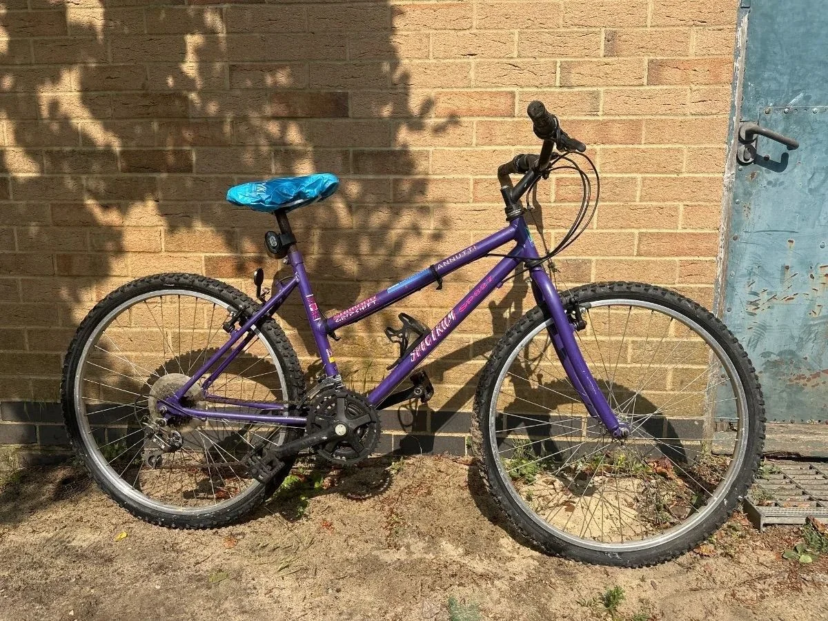 Lannutti Spectrum Purple Refurbished Bicycle - 26 inch