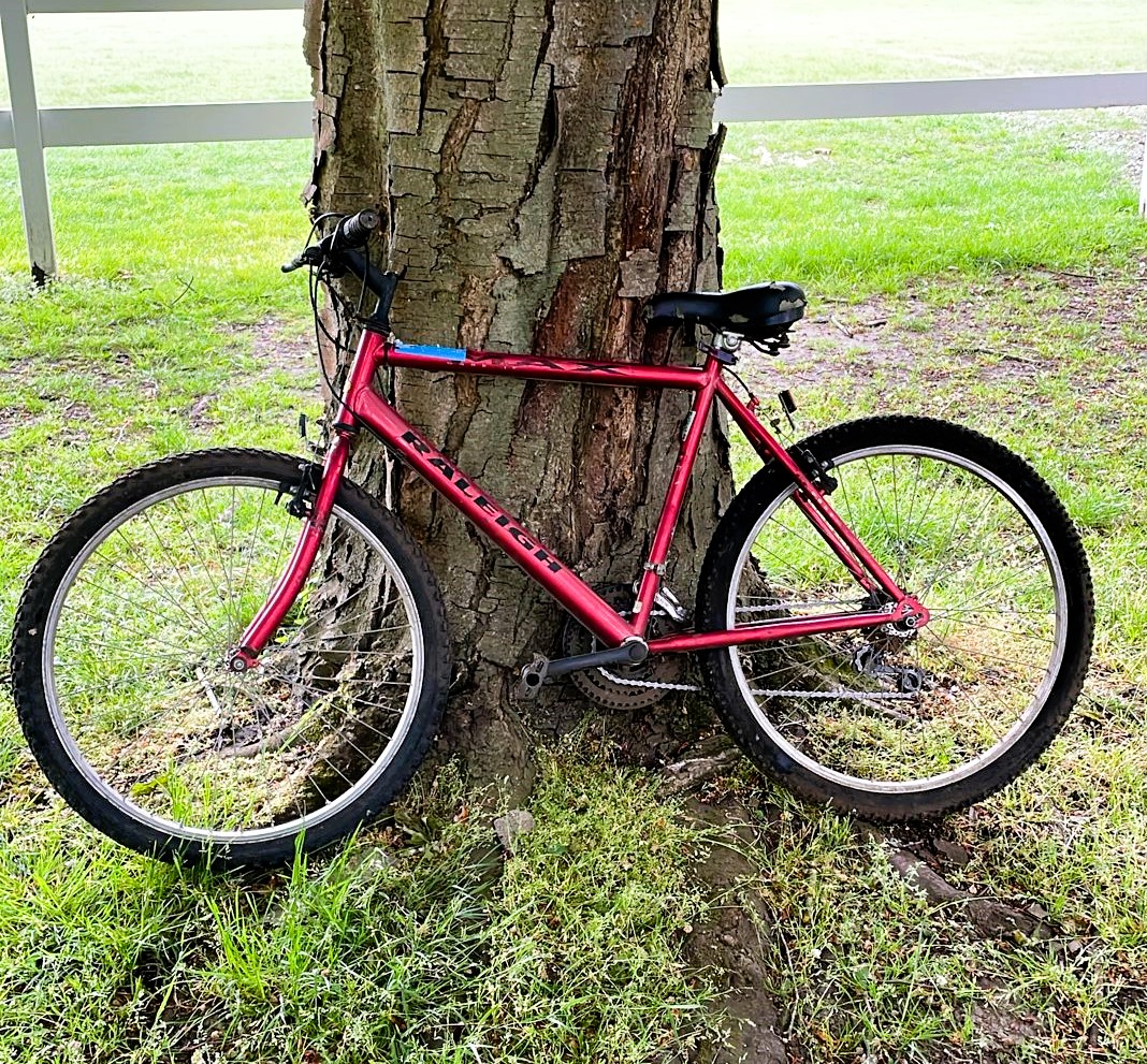 Raleigh Max Red Refurbished Bicycle - 26 inch