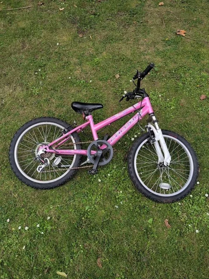 Falcon Rhapsody Pink Refurbished Bicycle - 14 inch